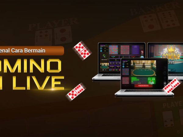 Mengenal Cara Bermain Domino IDN Live