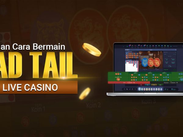 Panduan Cara Bermain Head Tail IDN LIVE CASINO