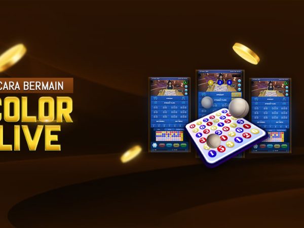 Panduan Cara Bermain 6D Color IDNLIVE