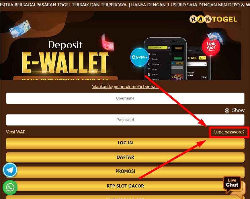 Mengatasi Lupa Password dan Username pada Situs Hantogel